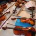 Goûter en musique : le violon